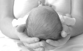 Newborn Family Photo